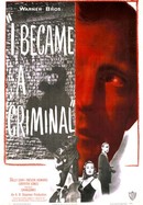 I Became a Criminal poster image