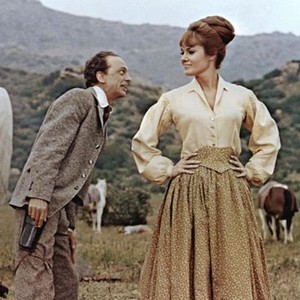 THE SHAKIEST GUN IN THE WEST, Don Knotts, Barbara Rhoades, 1968