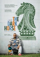The Dark Horse poster image