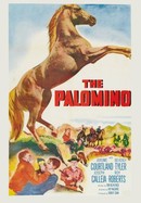 The Palomino poster image