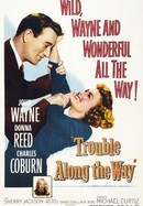 Trouble Along the Way poster image