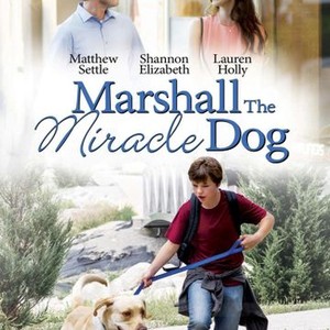 Marshall the Miracle Dog (2014) photo 12