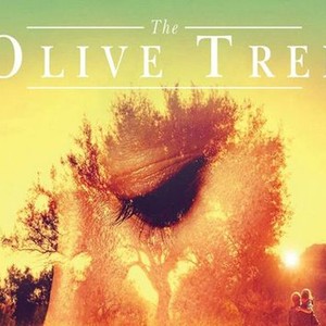 The Olive Tree photo 8