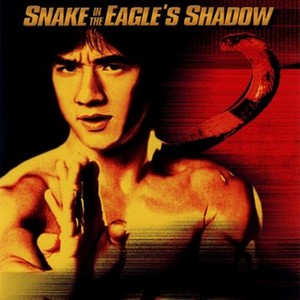 Snake in the Eagle's Shadow (1978) photo 6