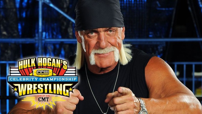 Hulk hogan's celebrity championship wrestling sales