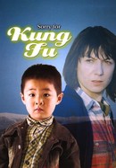 Sorry for Kung Fu poster image