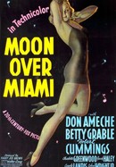 Moon Over Miami poster image