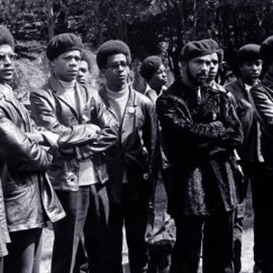 The Black Panthers: Vanguard of the Revolution (2015) photo 4