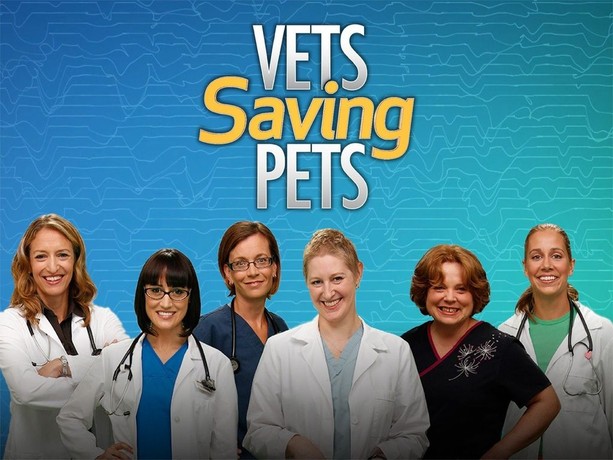 Vets sales saving pets