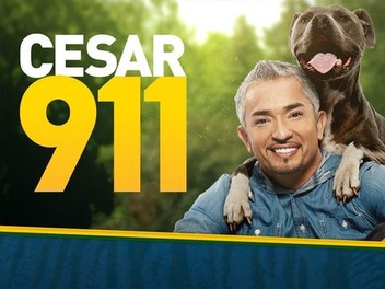 Cesar 911 season 4 online