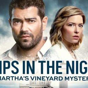 Ships in the Night: A Martha's Vineyard Mystery photo 4