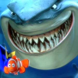 Finding Nemo Movie Quotes Rotten Tomatoes