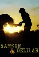 Samson & Delilah poster image