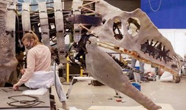 Jurassic World Dominion: Behind the Scenes - Dinosaur Design Concepts