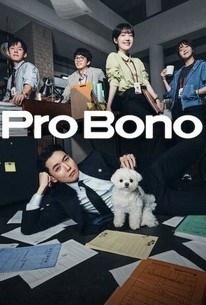 Pro Bono