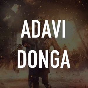 Adavi Donga - Rotten Tomatoes