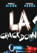 L.A. Crackdown poster image