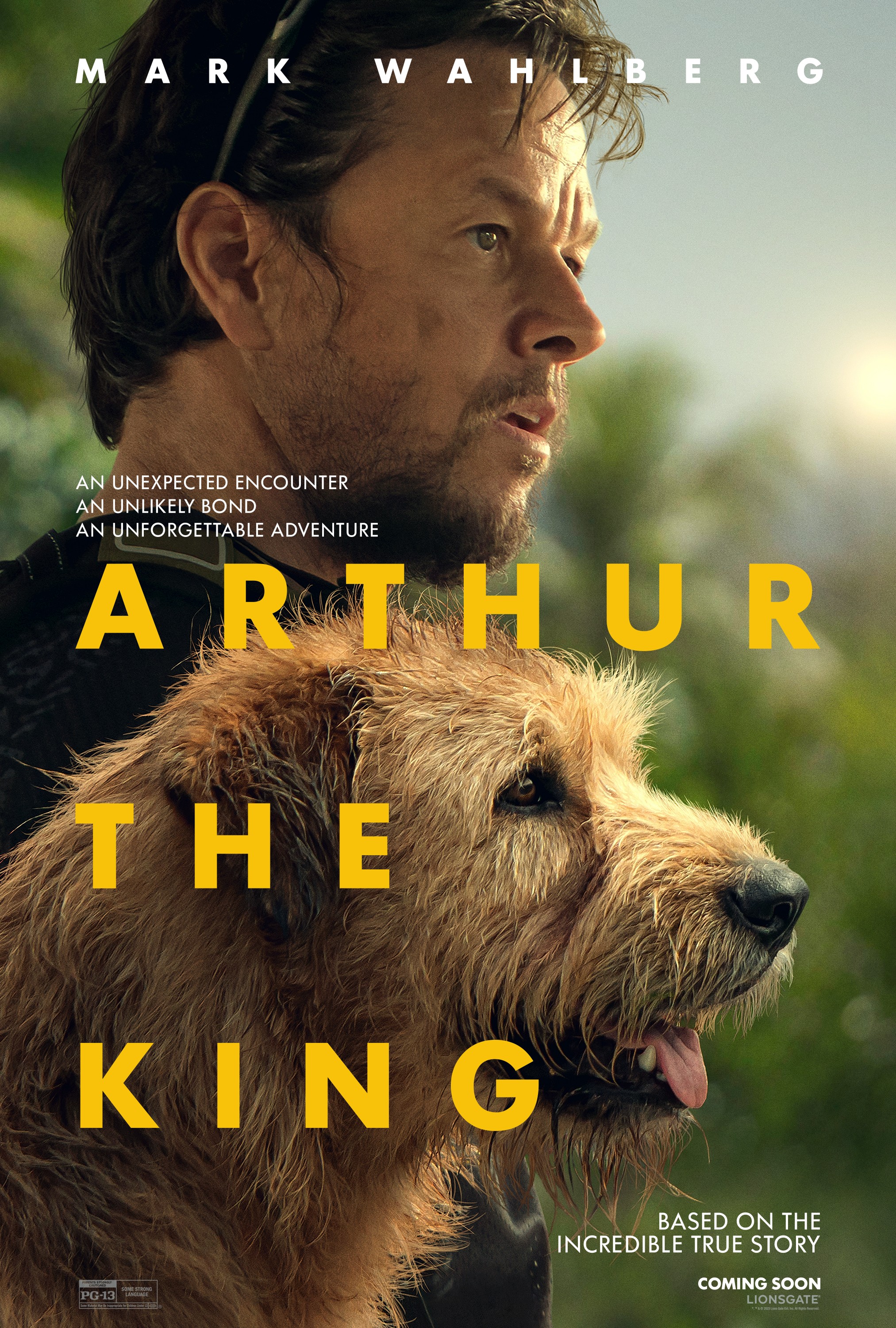 Arthur the King Rotten Tomatoes