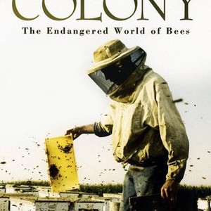Colony (2009) photo 16