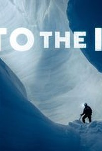 Into the Ice | Rotten Tomatoes