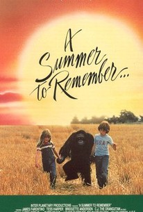 A Summer to Remember...