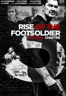 Rise of the Footsoldier: The Final Chapter poster image