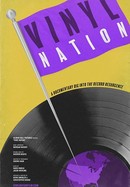 Vinyl Nation poster image