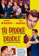 Hi Diddle Diddle poster image