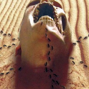 The Bone Snatcher - Rotten Tomatoes
