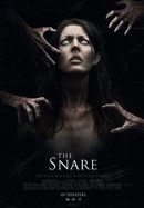 The Snare poster image