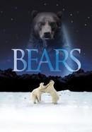 Bears poster image