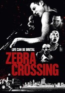 Zebra Crossing poster image