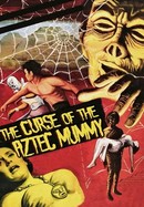 The Curse of the Aztec Mummy poster image