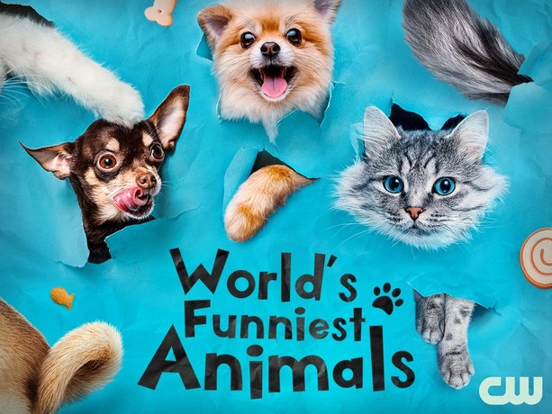 World's Funniest Animals: Season 4 | Rotten Tomatoes