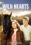 Wild Hearts poster image