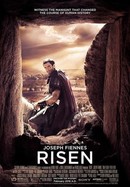 Risen poster image