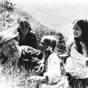 THE NEW ADVENTURES OF HEIDI, from left: Burl Ives, Sean Marshall, Katy Kurtzman, Sherrie Wills, 1978