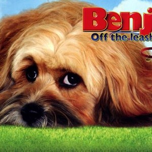 Benji: Off the Leash! - Rotten Tomatoes