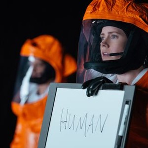 "Arrival photo 12"