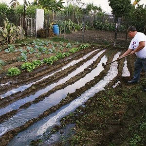 The Garden photo 5