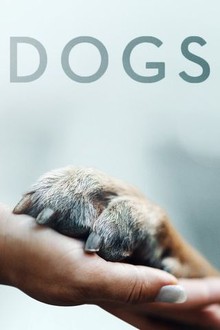 Dog documentary netflix australia clearance
