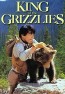 King of the Grizzlies poster image