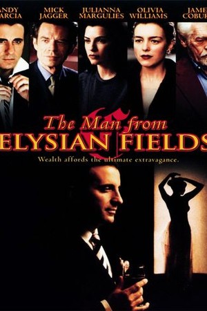 The Man From Elysian Fields poster