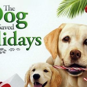 the dog who saved the holidays