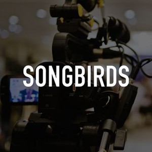 Songbirds photo 2
