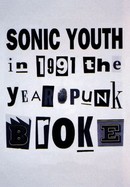 1991: The Year Punk Broke poster image