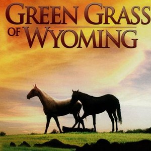 Green Grass of Wyoming photo 9