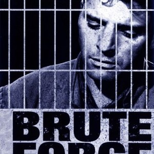 Brute Force photo 11