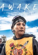 Awake, a Dream From Standing Rock poster image