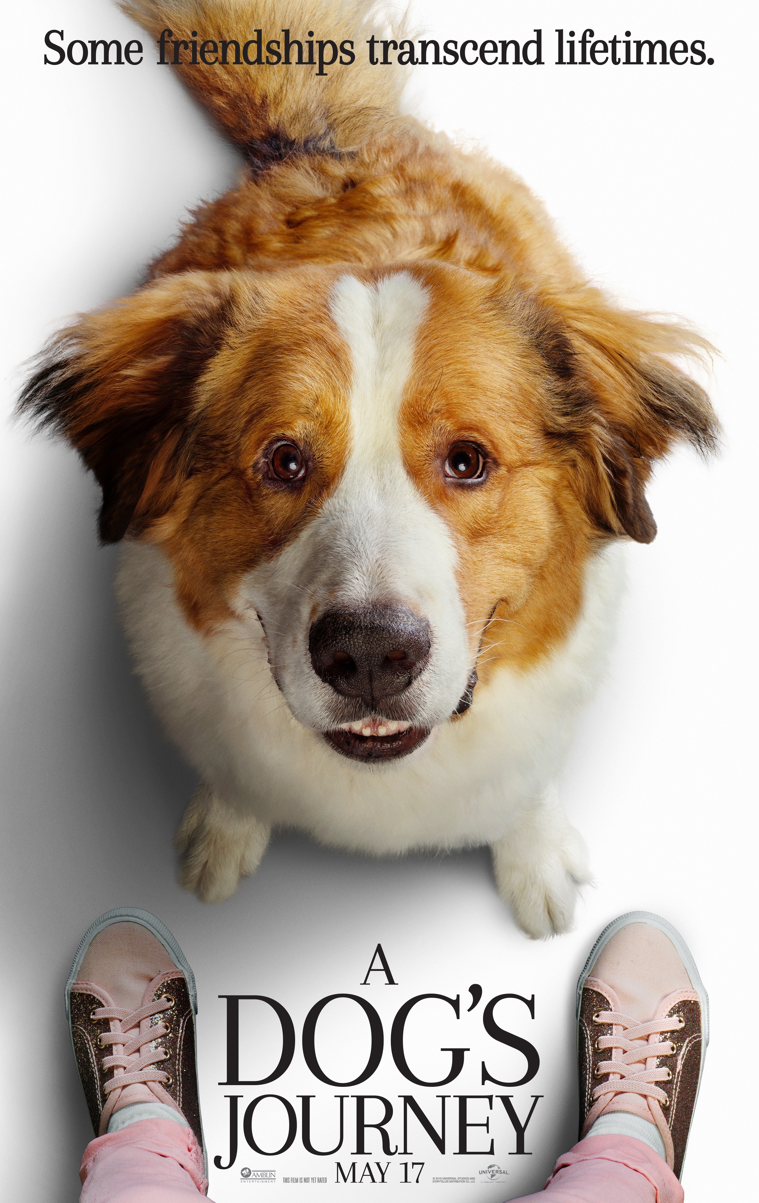 A Dog's Purpose' Finds a Good Friend at the Box Office - The New